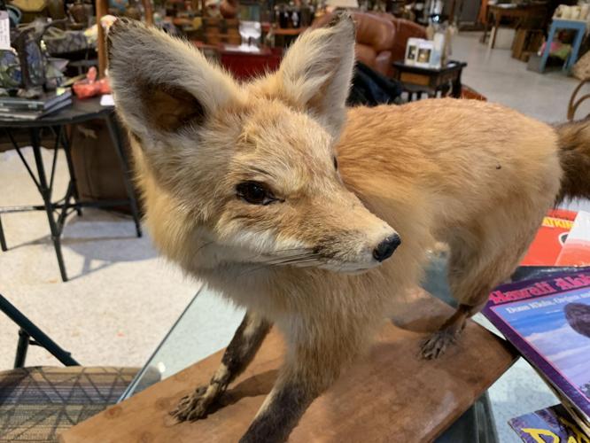 FLEUR DE FLEA VINTAGE MARKET - KEITH KAISER - 8-27-19  (15).jpg