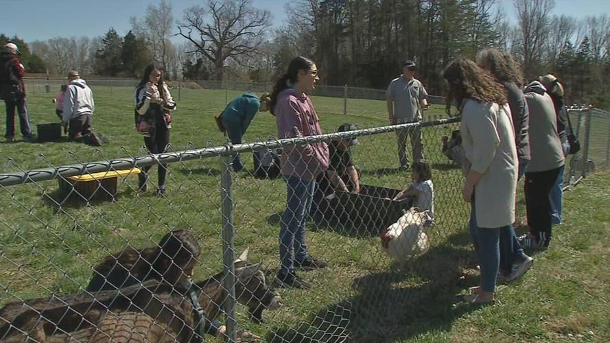 active heroes retreat