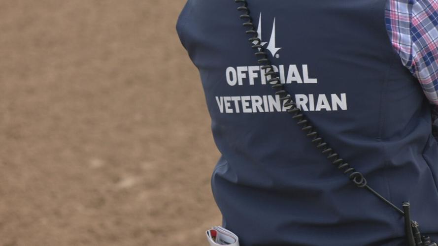 Churchill Downs Official Veterinarian