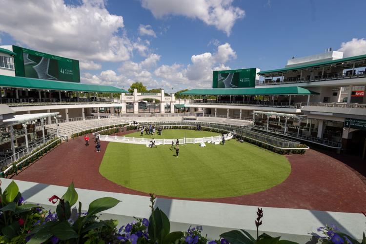 View of the Paddock at Churchill Downs from Spires Suites.jpeg