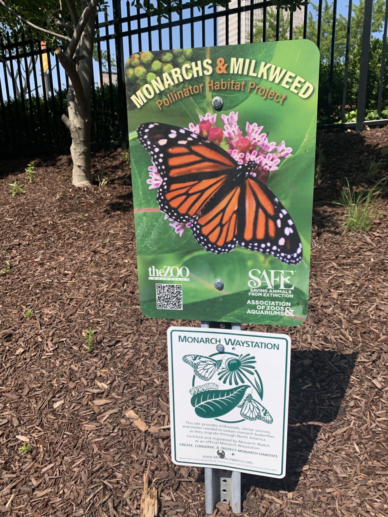 WDRB Flutter Farm. May 25, 2023.