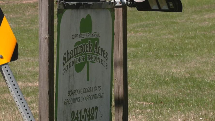 REAMERS ROAD DOG ATTACK - 3.21.26