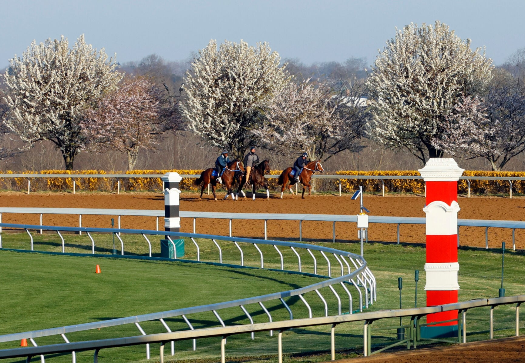 Scenics, 2022 Keeneland Spring Meet