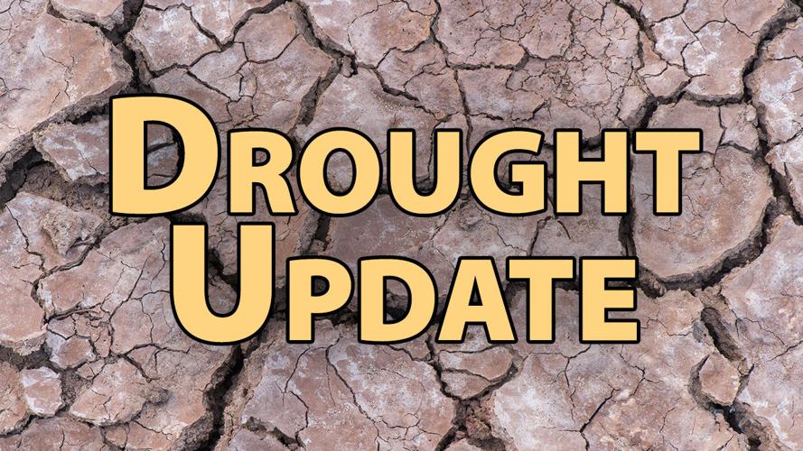 drought update cracked ground.jpg