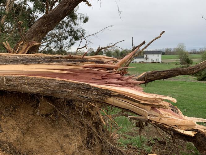 'Angels watching over us' Meade County family surveys damage from EF