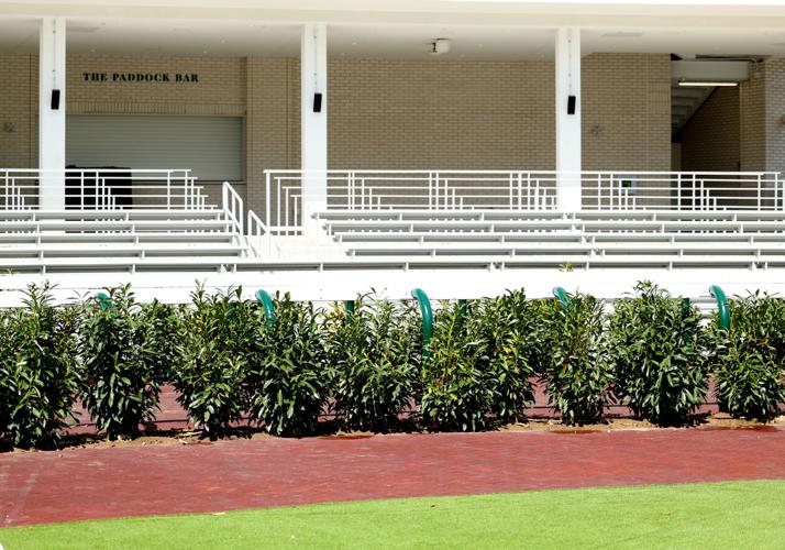 Seating area overlooking Paddock.JPG
