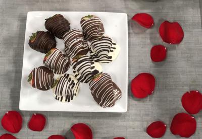 MELTING POT BOG 2-6-20.JPG