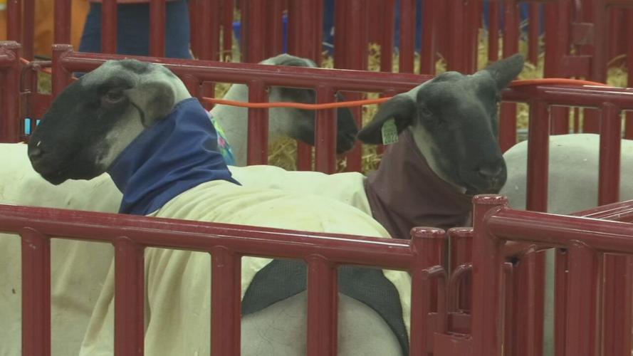 2021 North American International Livestock Exposition