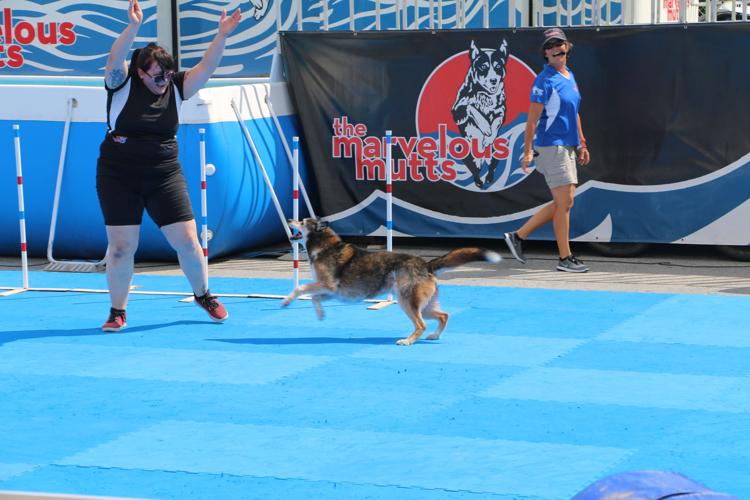 KENTUCKY STATE FAIR 2019 - ENTERTAINMENT DOG ACT (3).jpg