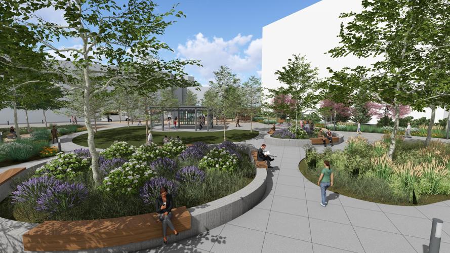 LOUMED Commons rendering 12-9-24