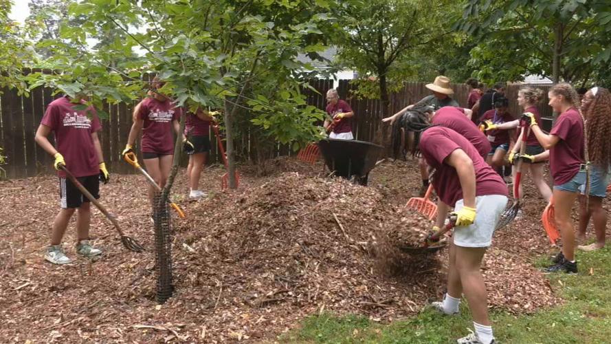 Bellarmine freshmen Knights in Action service projects 8-20-25