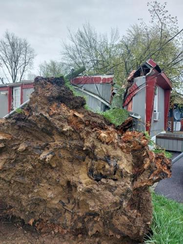ERIKA - STORM DAMAGE - FAIRDALE - APRIL 5, 2023 2.jpg