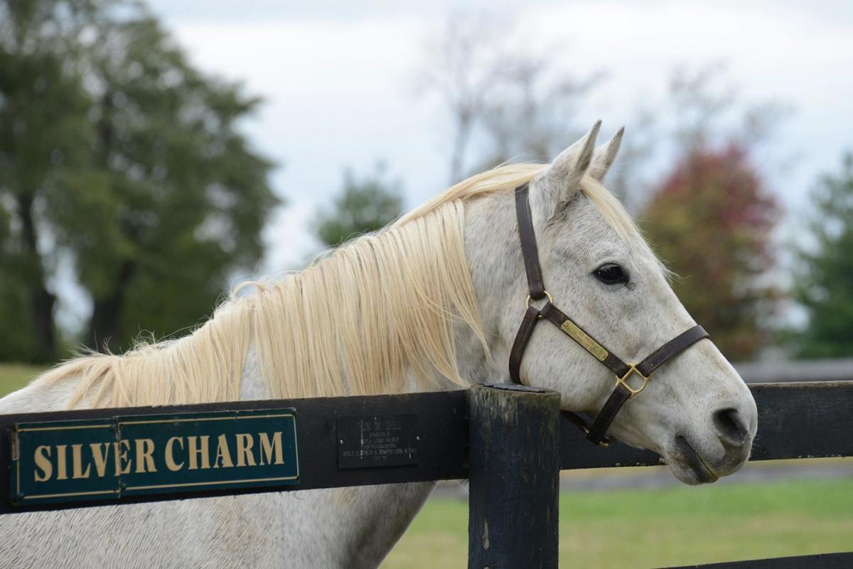 DID you know Silver Charm is the OLDEST living Kentucky Derby  winner❓#kyderby 