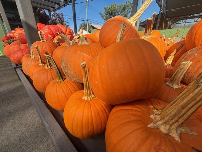 pumpkins