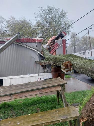 ERIKA - STORM DAMAGE - FAIRDALE - APRIL 5, 2023.jpg