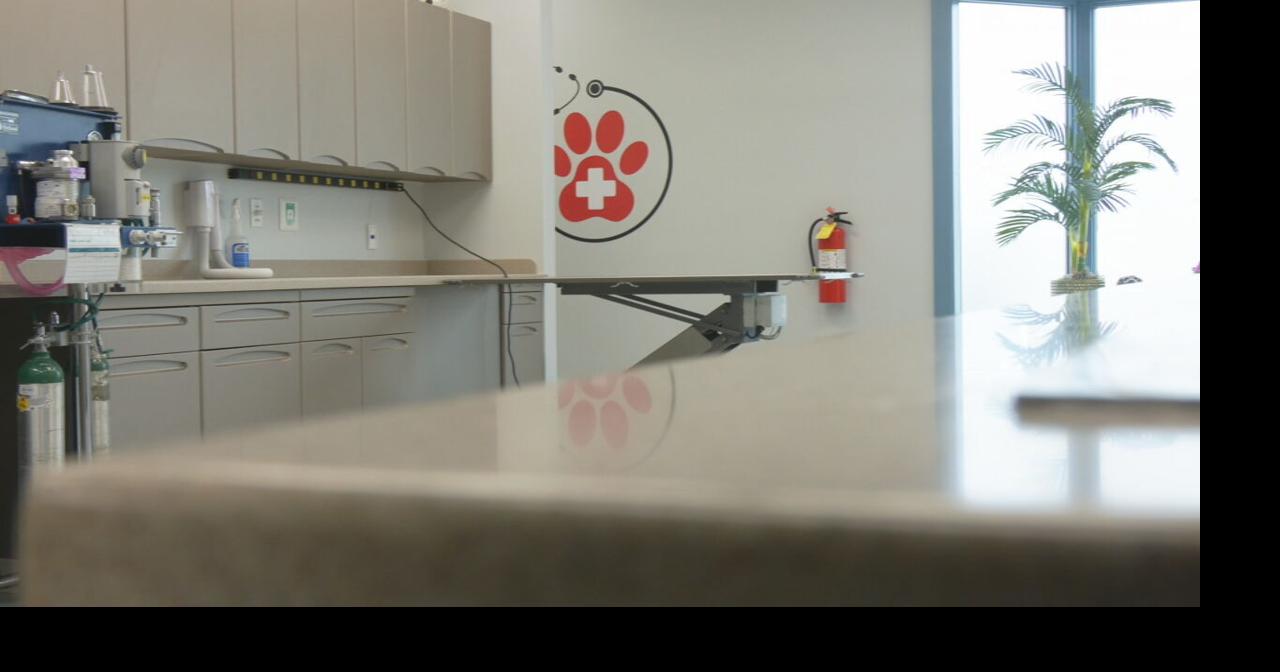 Louisville animal hospital asks community to help save pets with blood drive
