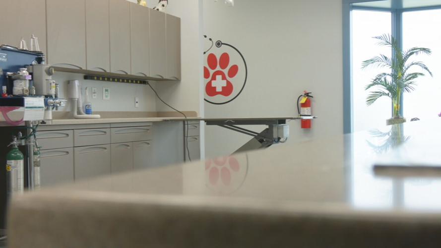 Jefferson Animal Hospital expansion