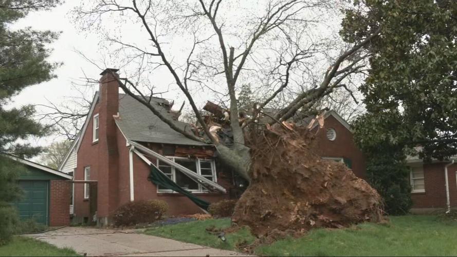 STORM DAMAGE ON TERRIER LANE - APRIL 5, 2023.jpeg