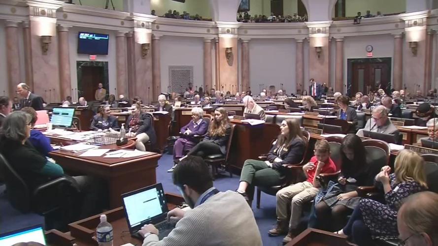 KENTUCKY HOUSE - BUDGET VOTE - 3-6-2020 (3).png
