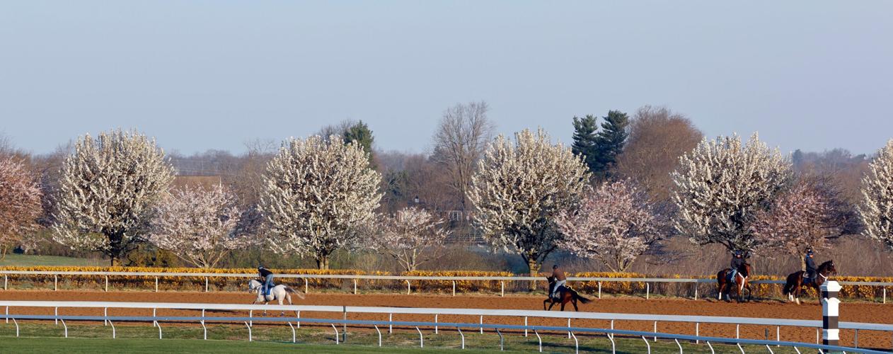 Scenics, 2022 Keeneland Spring Meet