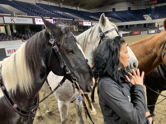 Rodeo - Dusti Dickerson Pets Horse.jpeg