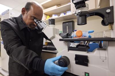 Dr. Bala lab image small.jpg