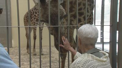 80-year-old woman fighting lung cancer visits Louisville Zoo for the first time