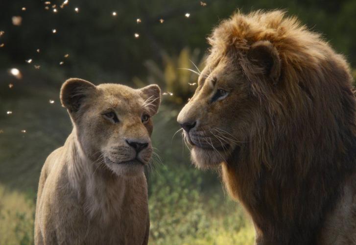 Nala and Simba
