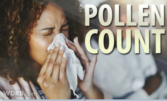 pollen count cover.PNG