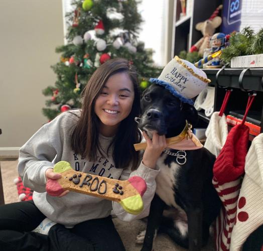 Roo-U of L Trauma Dog 3.jpg