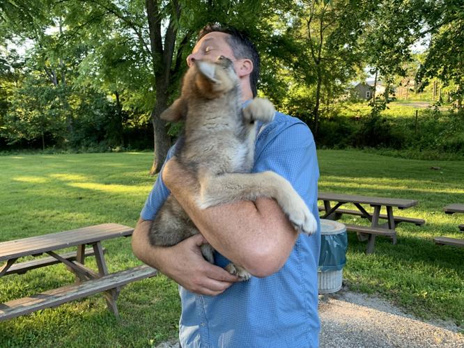 Wilstem Wildlife Park (41).JPG