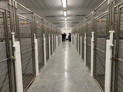 Jeffersonville Animal Shelter