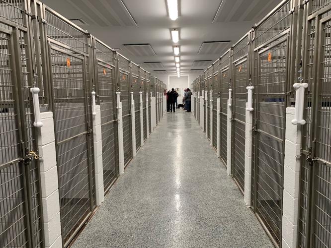 Jeffersonville Animal Shelter