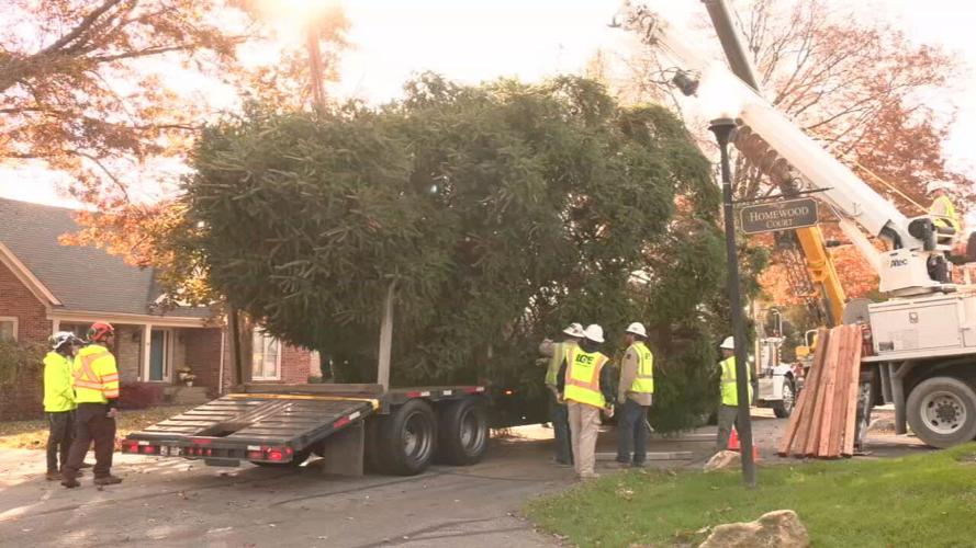 Christmas tree placed in Jefferson Square ahead of Light Up Louisville