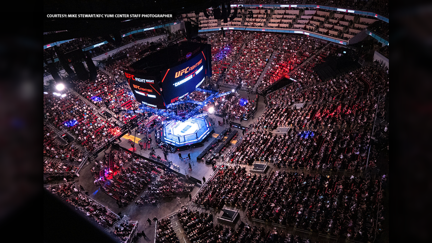 UFC Fight Night 2024