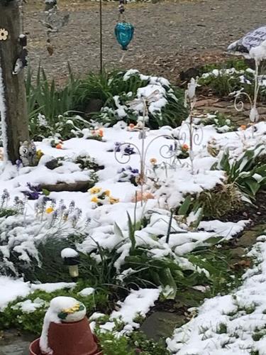 Snow in Springfield.jpg