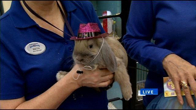 Feeders Supply Hosts Its Howl O Ween Pet Costume Contest News