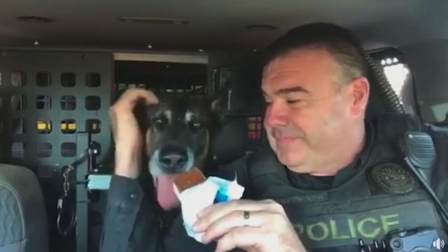 K9 OFFICER RETIRES 5pSOTVO.transfer_frame_1133 good boy.jpg