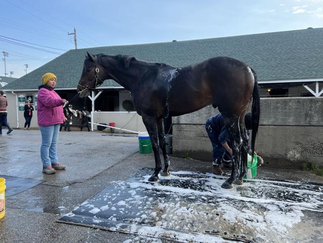 Backside workers bathe horse outside Dale Romans barn on backside at Churchill Downs