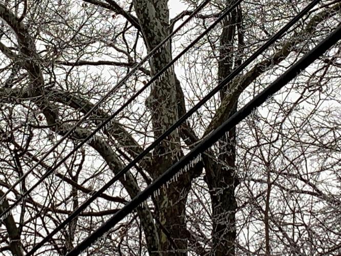 ICE STORM 2-3-2022 -FLOYDS KNOBS  - POWER LINES 2 1.jpg