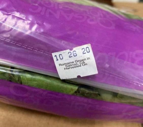 dole romaine 11-24-20.jpg