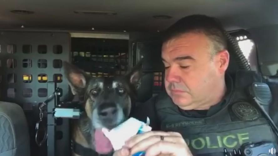 K9 OFFICER RETIRES 5pSOTVO.transfer_frame_975 more ice cream.jpg