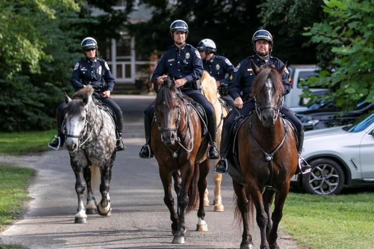 Horses at Boots, Badges and Bids.jpg
