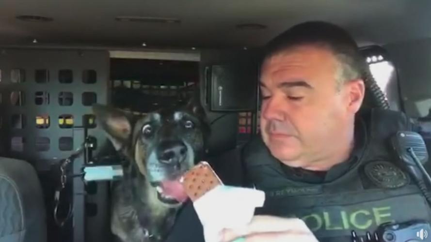 K9 OFFICER RETIRES 5pSOTVO.transfer_frame_305 ice cream.jpg