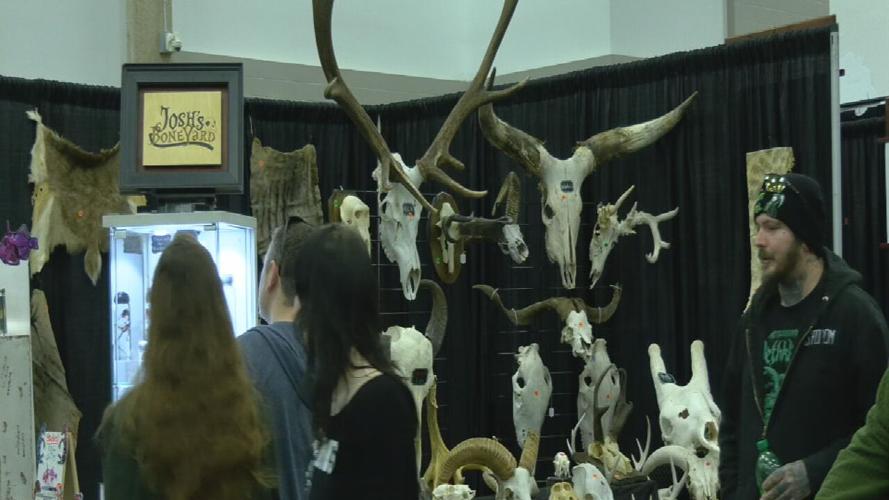 ODDITIES AND CURIOSITIES