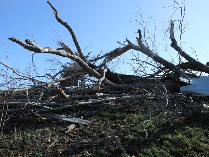 HENRYVILLE TORNADO DAMAGE MARCH 2012 (69).JPG