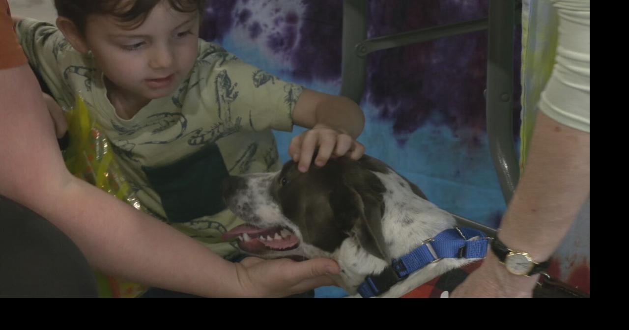 LMAS, Kentucky Humane Society holds event promoting adoptions in