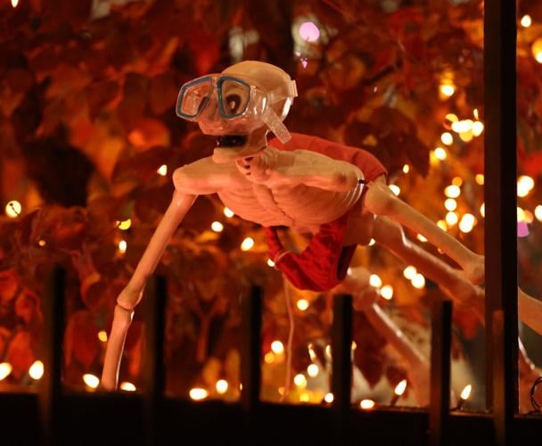 Skeleton hanging from tree.JPG