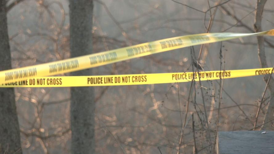CHICKASAW PARK INVESTIGATION