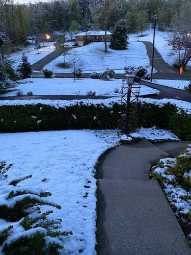 Snow near Iroquois Park.jpg